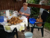 ein Bild aus dem Album